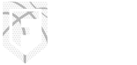 Fluid Motion Basketball